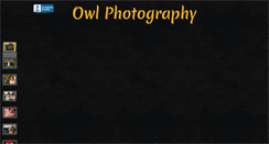 Desktop Screenshot of owl-photography.com